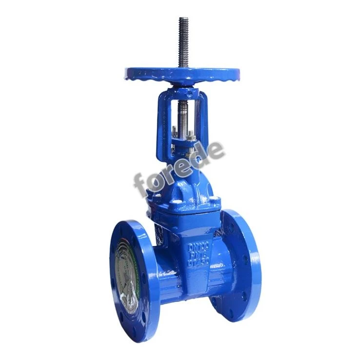 Rising Stem  Flanged Type Gate Valve