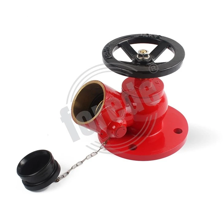 Wet Riser Landing Valve
